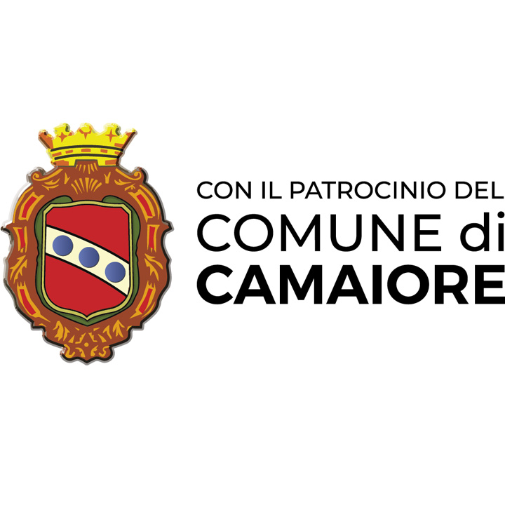 Logo Comune di Camaiore